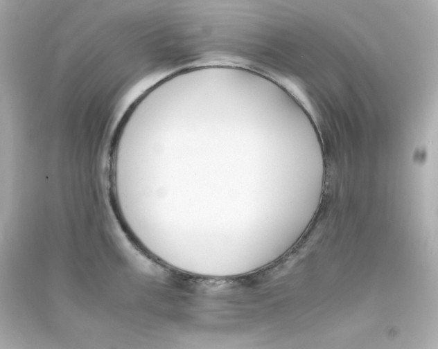 X0000090431003200708102001