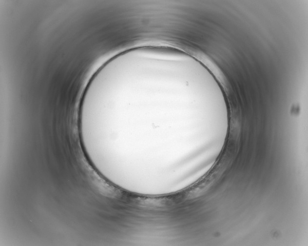 X0000090431004200708102001