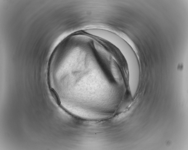 X0000090431005200708102001