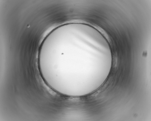 X0000090431006200708102001