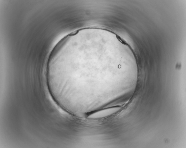 X0000090431007200708102001