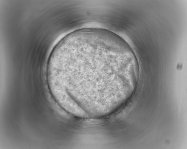 X0000090431008200708102001
