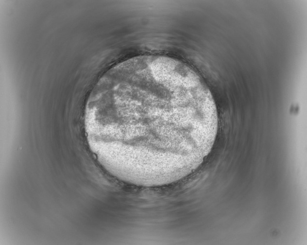 X0000090431009200708102000