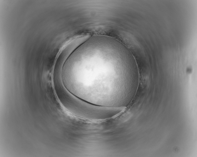 X0000090431010200708102000