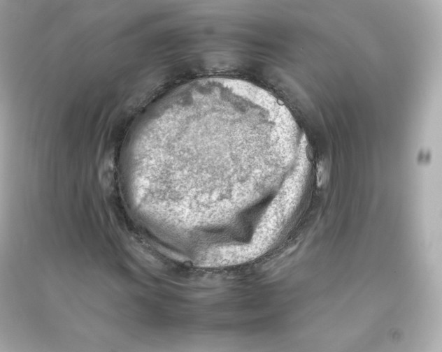X0000090431011200708102000