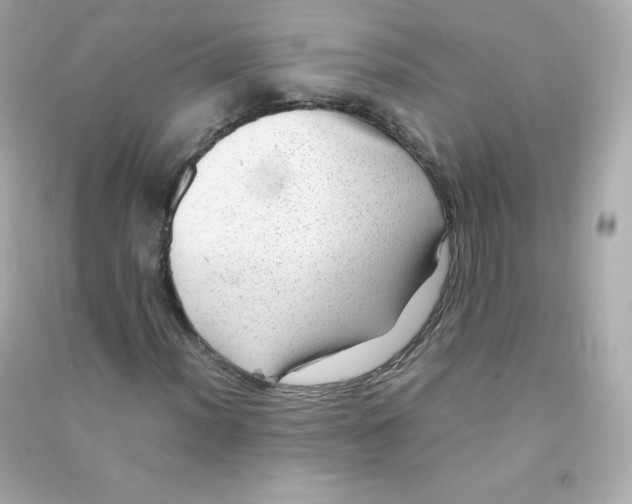 X0000090431012200708102000