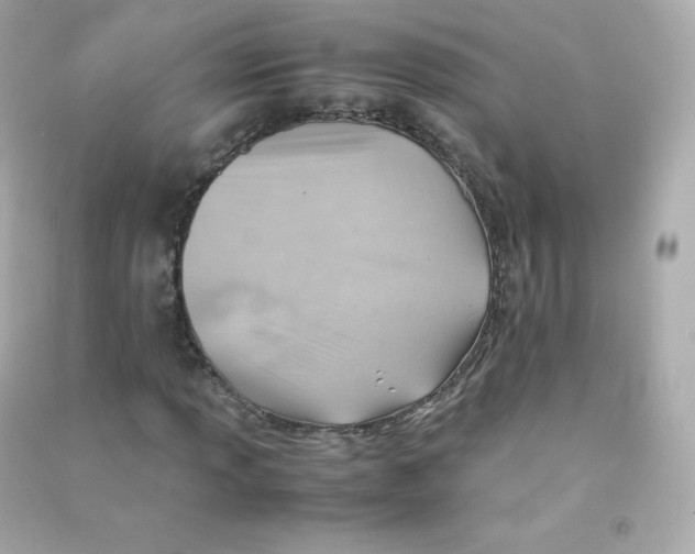 X0000090431013200708102000