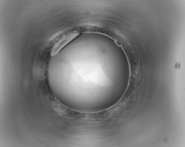 X0000090431014200708102000
