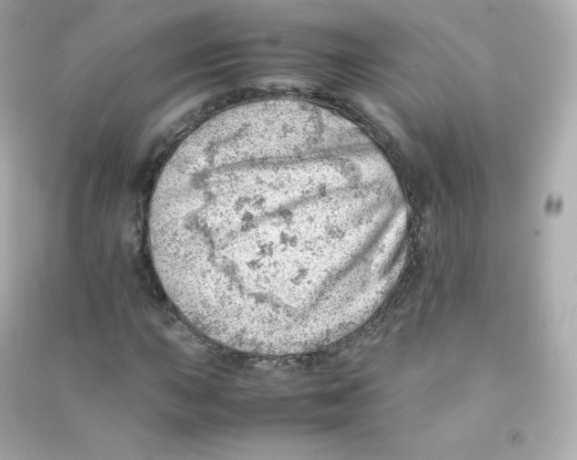 X0000090431015200708102000