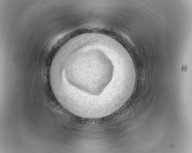X0000090431016200708102000