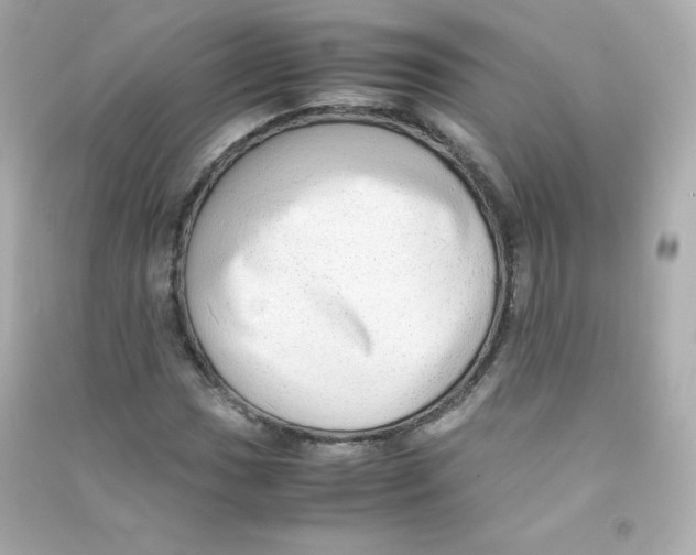 X0000090431017200708102000