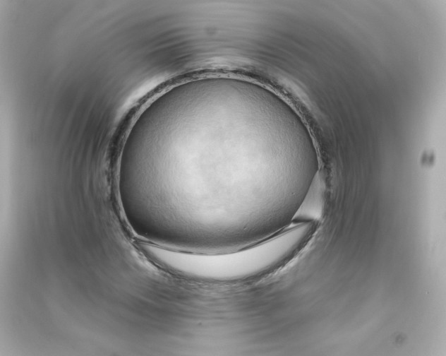 X0000090431018200708102000