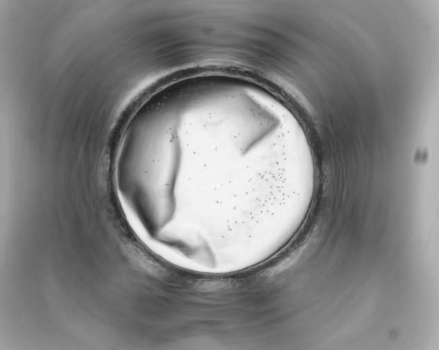X0000090431021200708102000