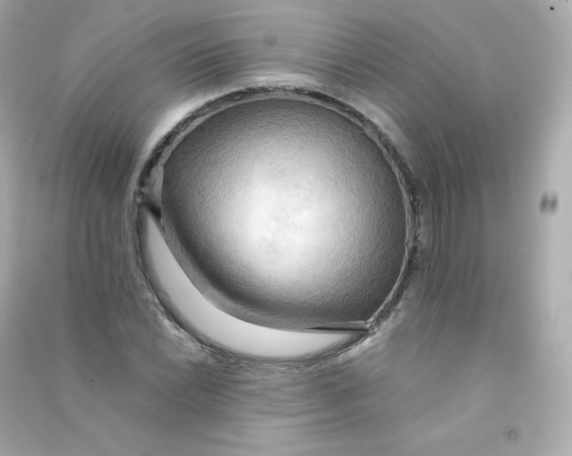 X0000090431022200708102000
