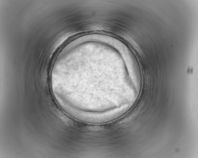 X0000090431023200708102000