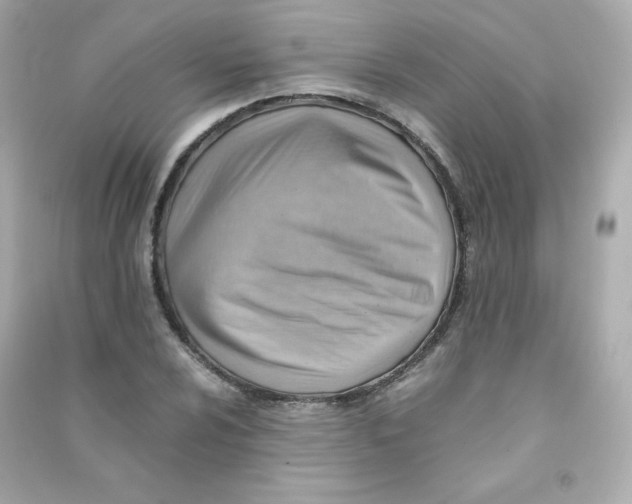 X0000090431024200708102000