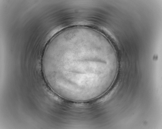X0000090431025200708102000