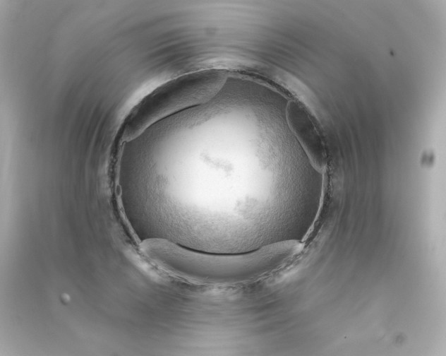 X0000090431026200708102000