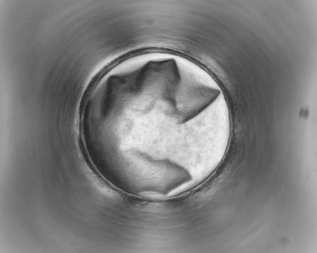 X0000090431028200708102000