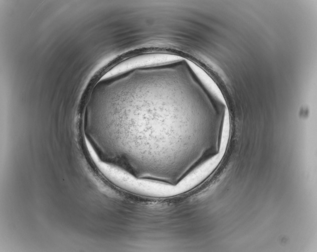 X0000090431029200708102000