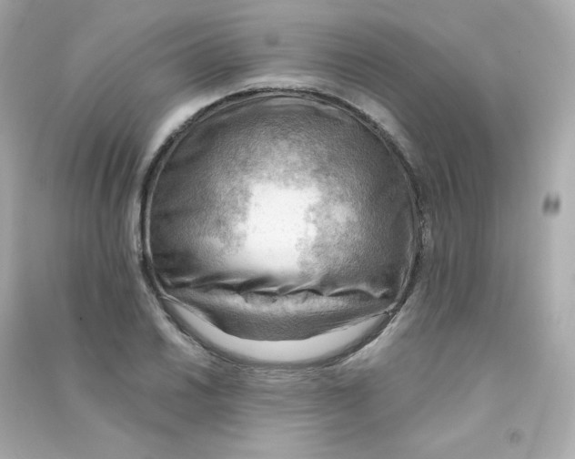 X0000090431030200708102000