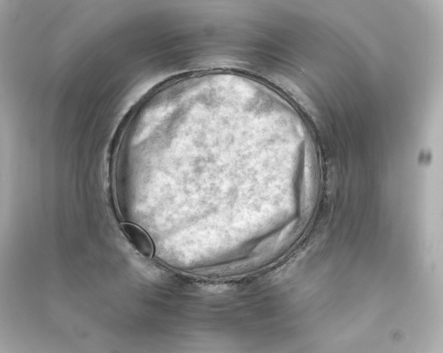 X0000090431031200708102000