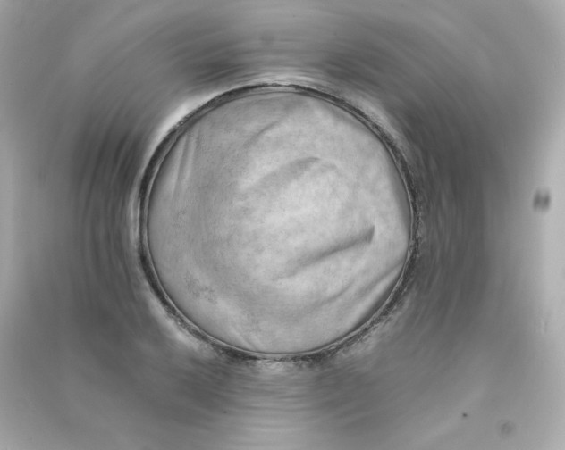 X0000090431032200708102000