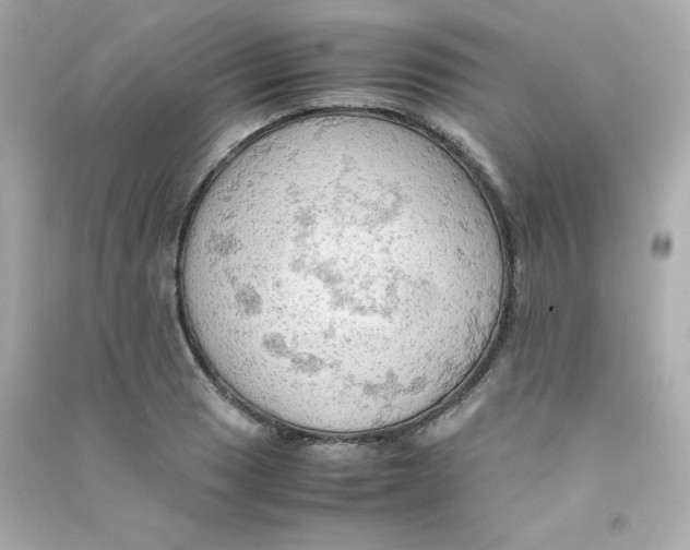 X0000090431033200708102000