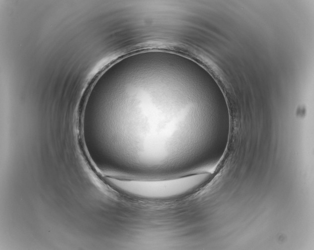 X0000090431034200708102000