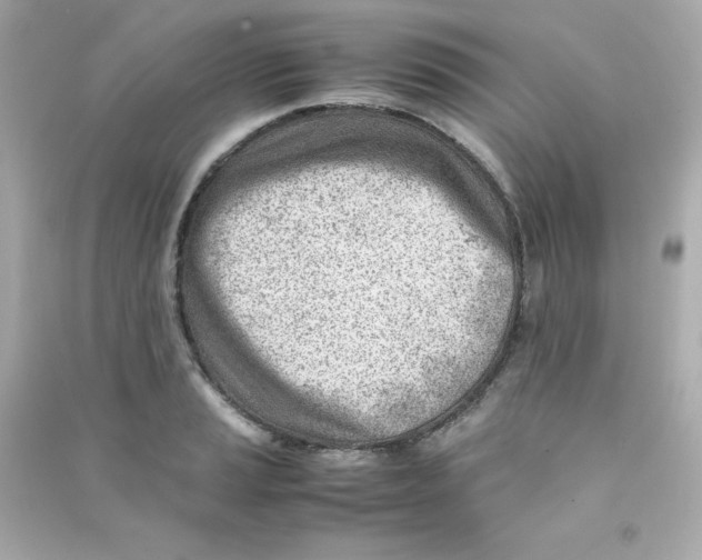 X0000090431037200708102000
