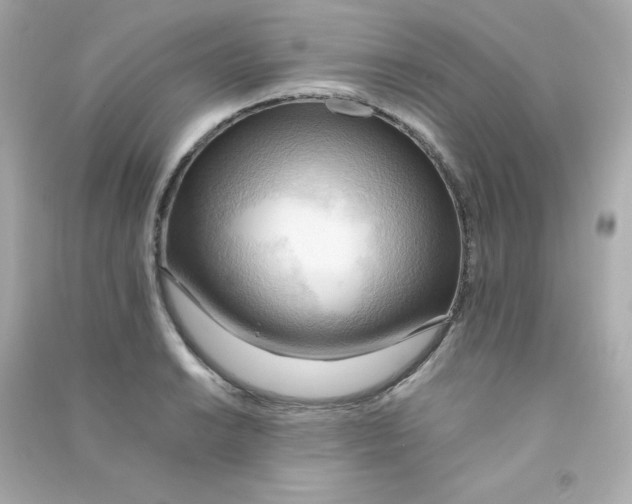 X0000090431038200708102000