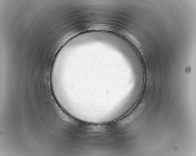 X0000090431041200708102000