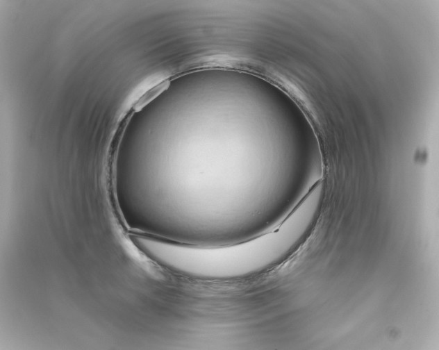 X0000090431042200708102000