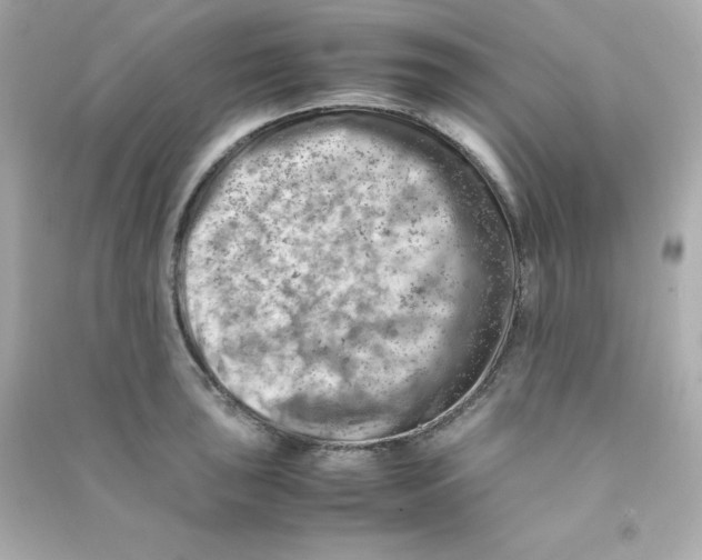 X0000090431043200708102000