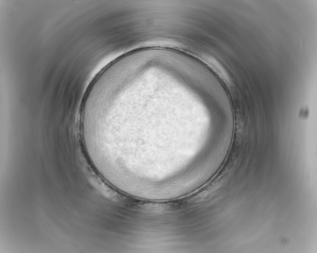 X0000090431044200708102000