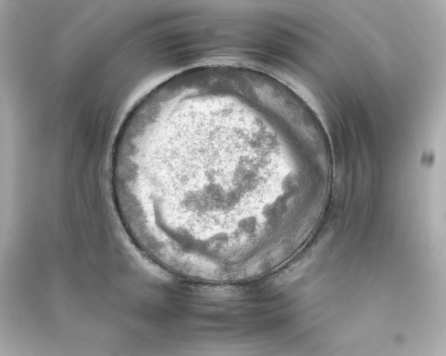 X0000090431045200708102000