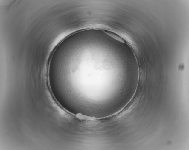 X0000090431046200708102000