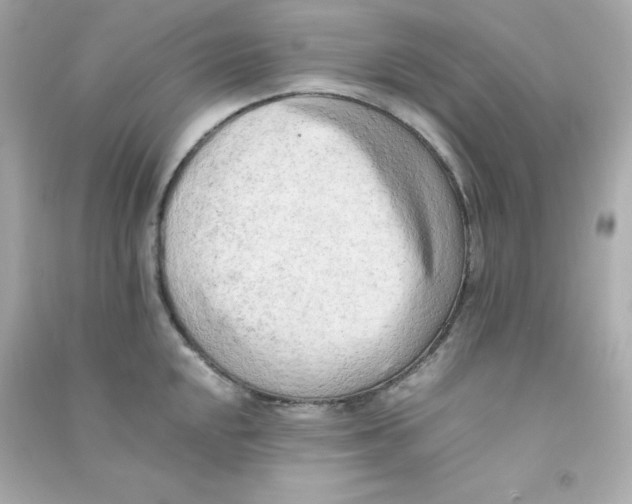 X0000090431048200708102000
