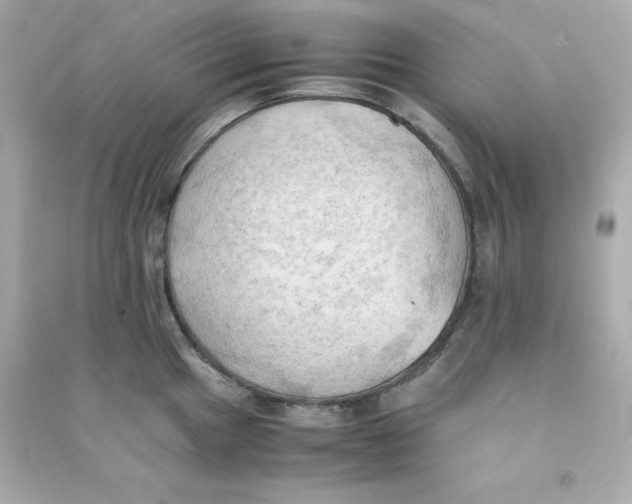 X0000090431049200708102001
