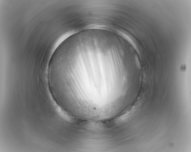 X0000090431050200708102001