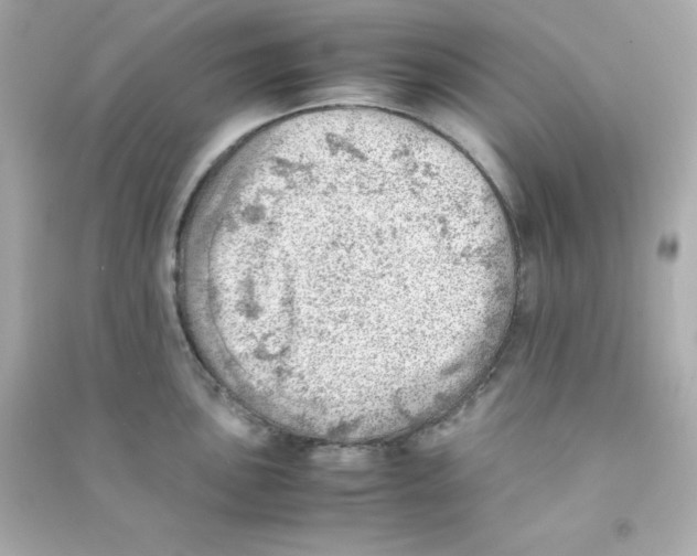X0000090431051200708102001