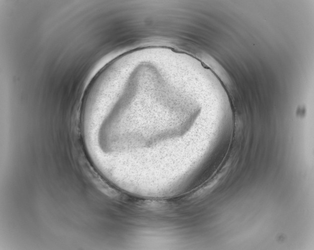 X0000090431052200708102001