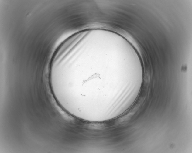 X0000090431053200708102001