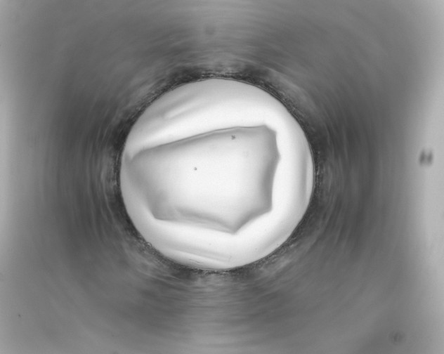 X0000090431058200708102000