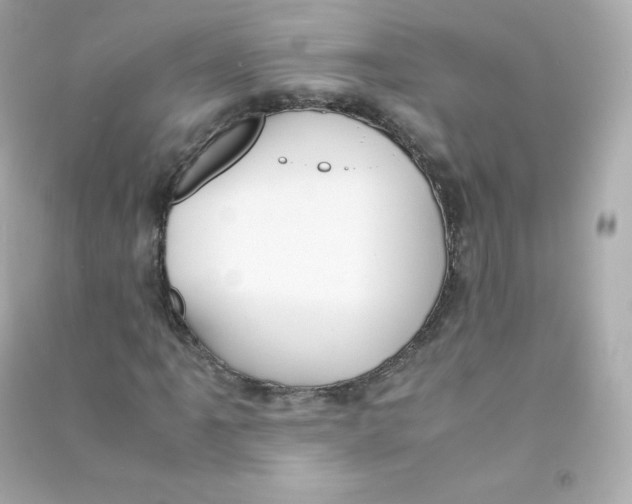 X0000090431061200708102000