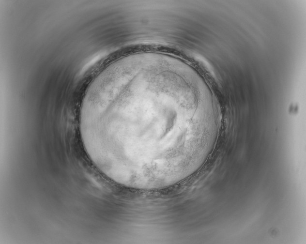 X0000090431064200708102000