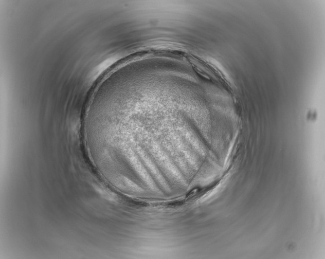 X0000090431065200708102000