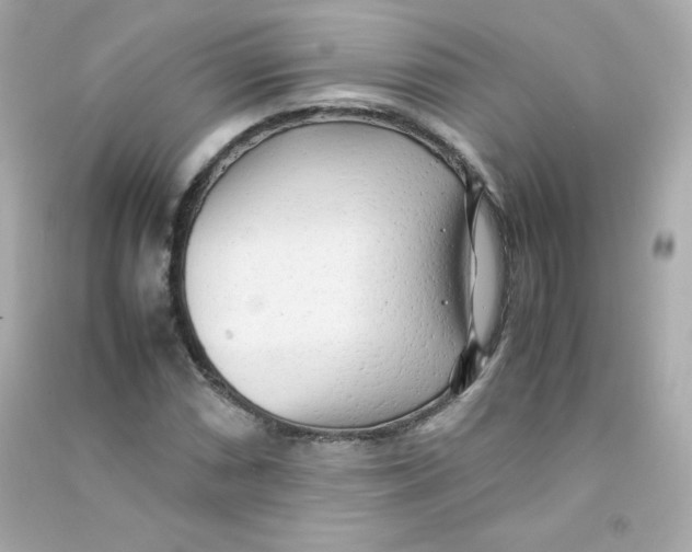 X0000090431066200708102000