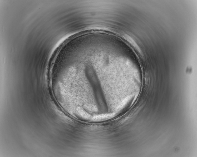 X0000090431068200708102000