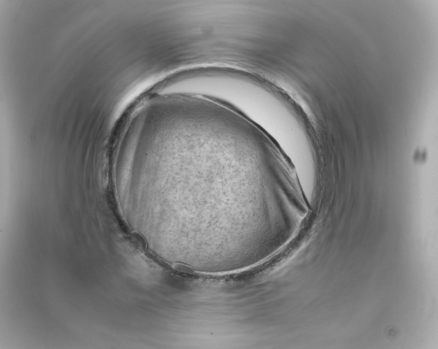 X0000090431069200708102000